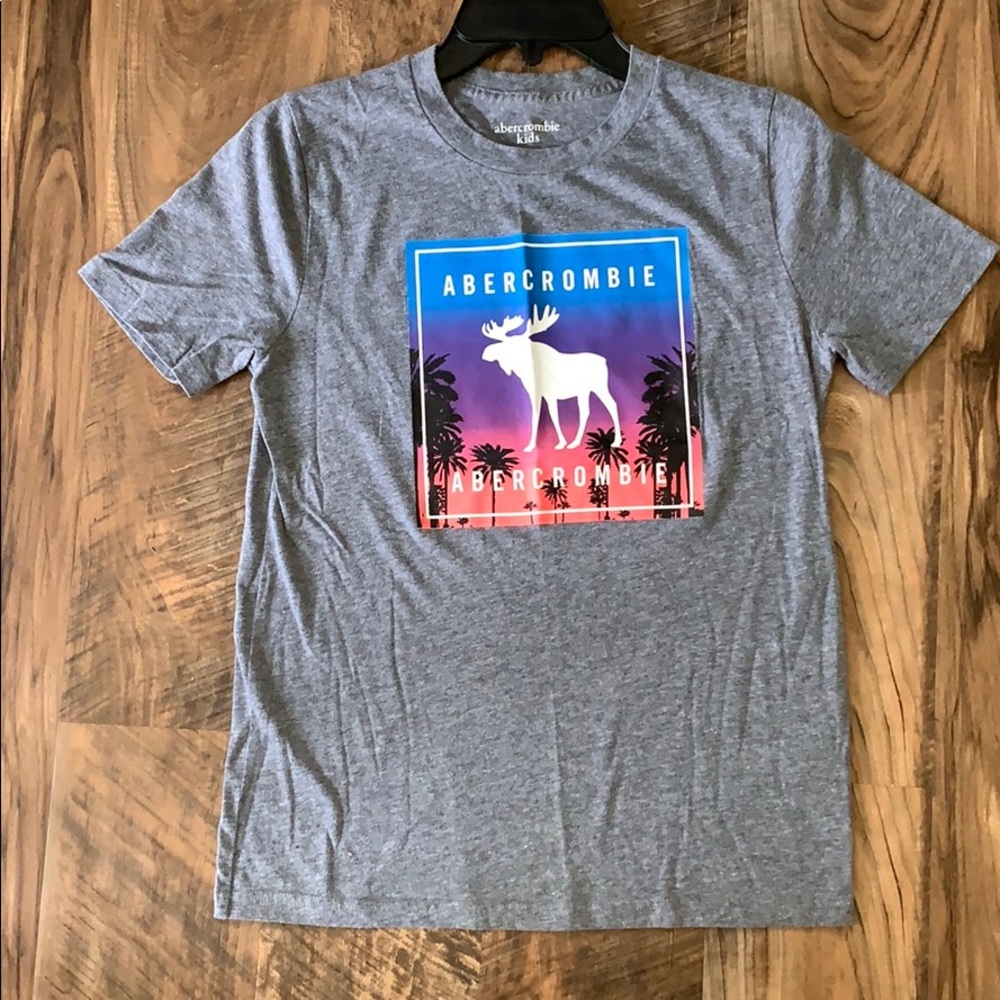 Abercrombie kids Gray T-shirt 13/14